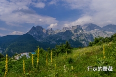 P1150160