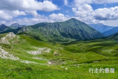 P1150207