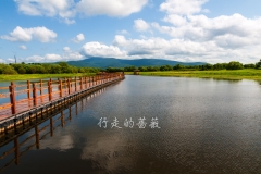 WLI0041