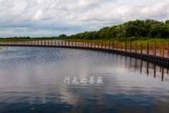 WLI0143