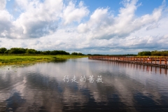 WLI0148
