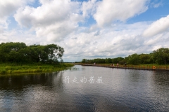 WLI0156