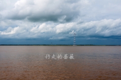 WLI0163