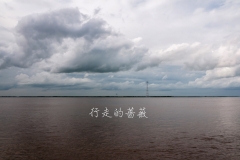 WLI0181