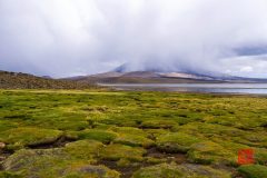 P1100273