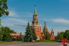 _WLI8817
