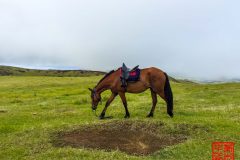 1_2015-01-21-11.30.21