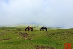 1_2015-01-21-11.32.33