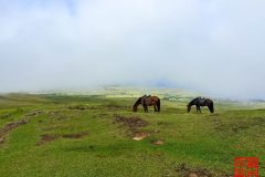 1_2015-01-21-11.32.35