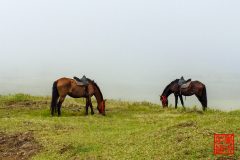 1_2015-01-21-11.34.33