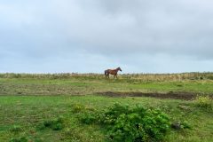 1_2015-01-22-07.52.09