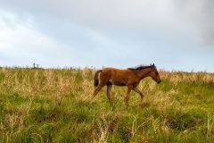 1_2015-01-22-08.07.30