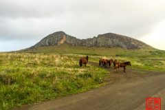 1_2015-01-22-08.07.38