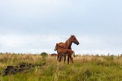 1_2015-01-22-08.07.51