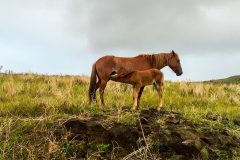 1_2015-01-22-08.08.25