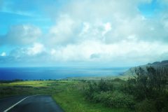 1_2015-01-22-16.34.34-1