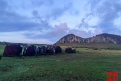 1_2015-01-23-07.41.40