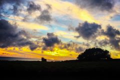 1_2015-01-23-07.43.41-1