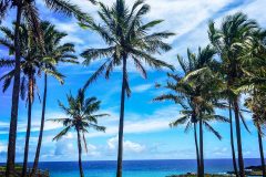 1_2015-01-23-13.04.03-1