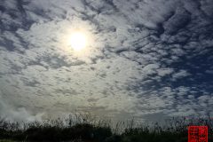 2015-01-19-10.01.39-HDR