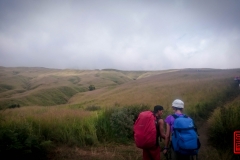 2016-08-17 100954