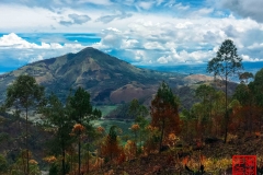 2016-09-04 113415