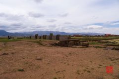 P1100008