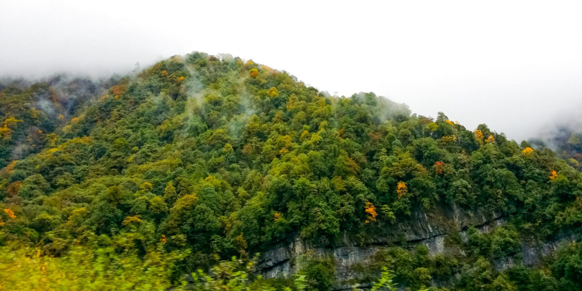 二郎山