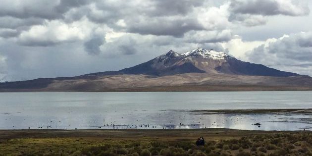 Lauca