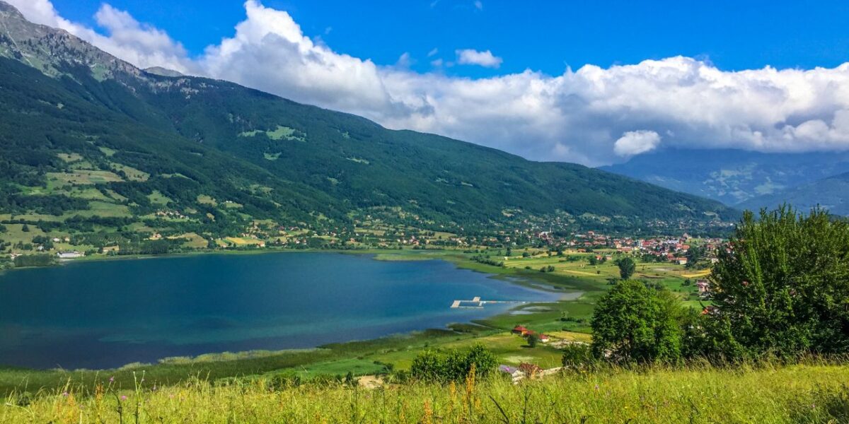 Plav