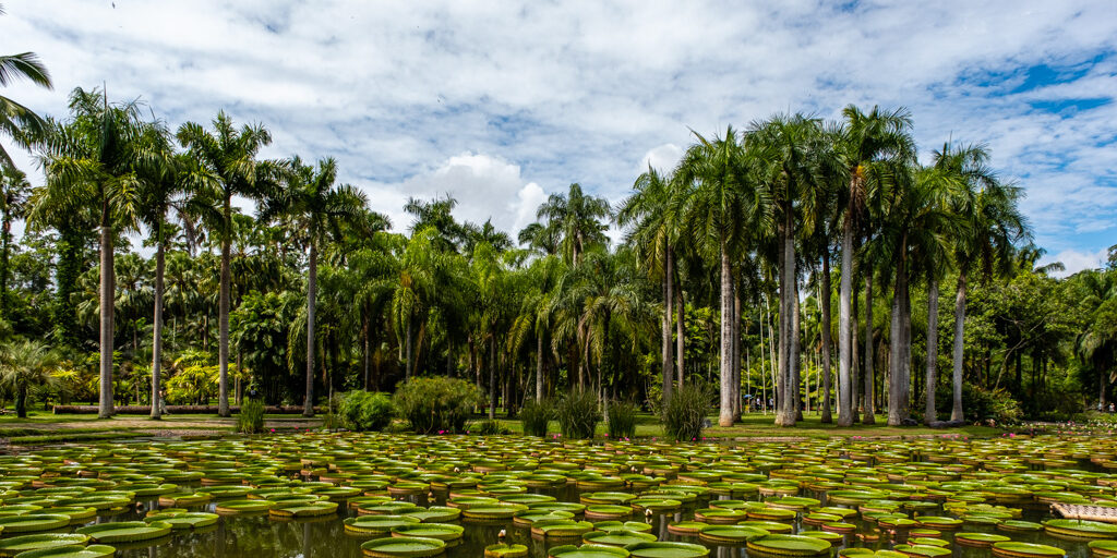 中科院热带植物园