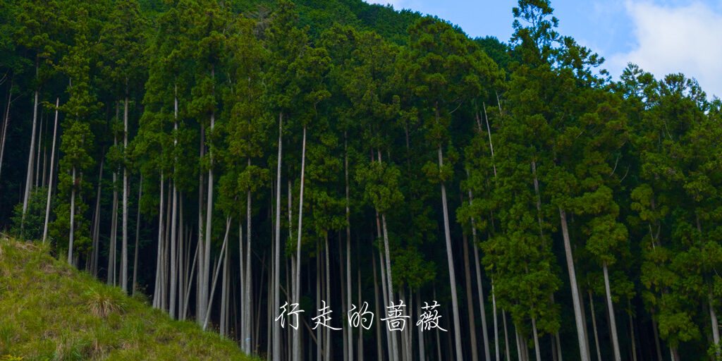 发心门王子